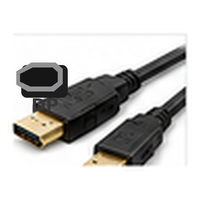 DisplayPort